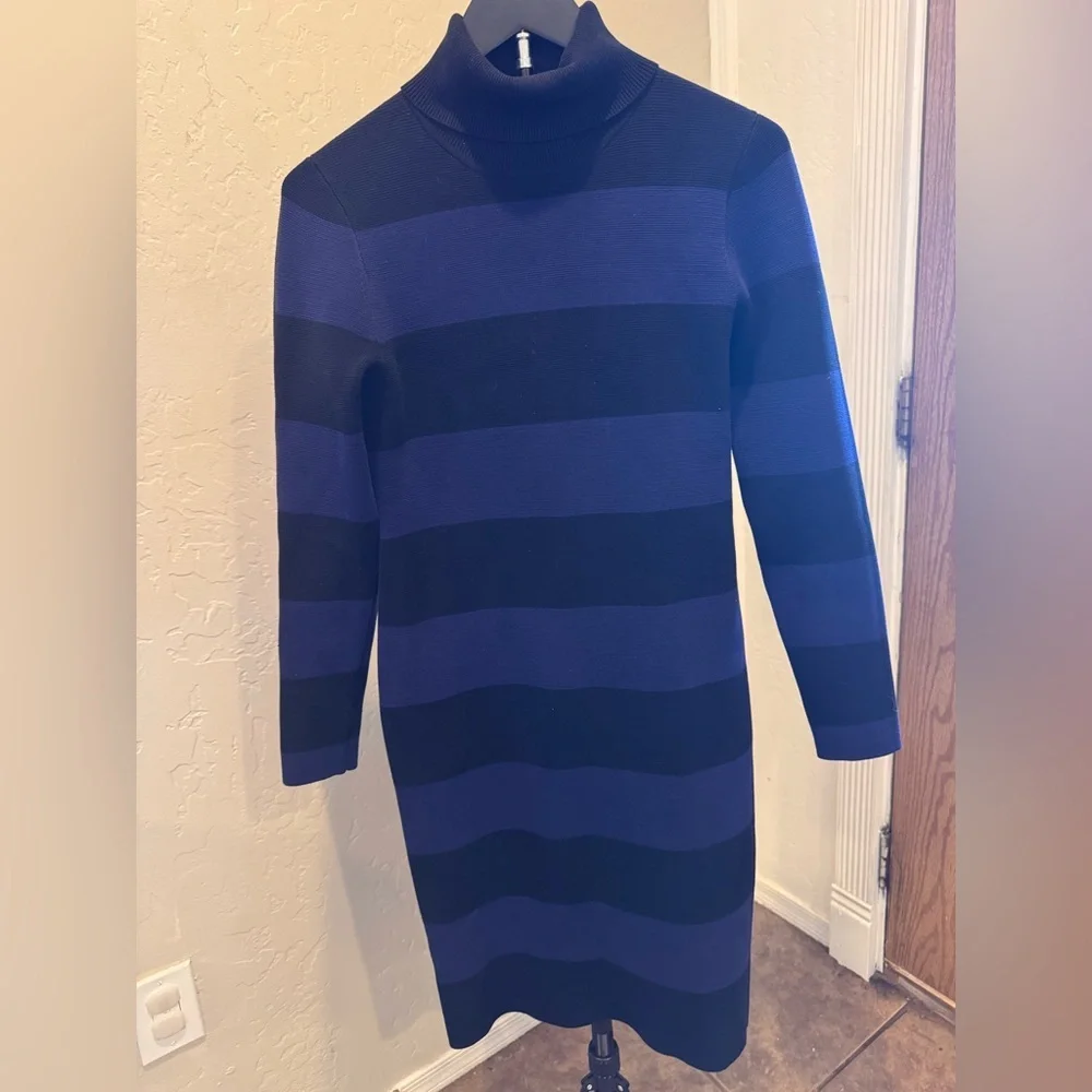 J. Crew Blue and Black Ribbed Turtleneck Sweater Dress